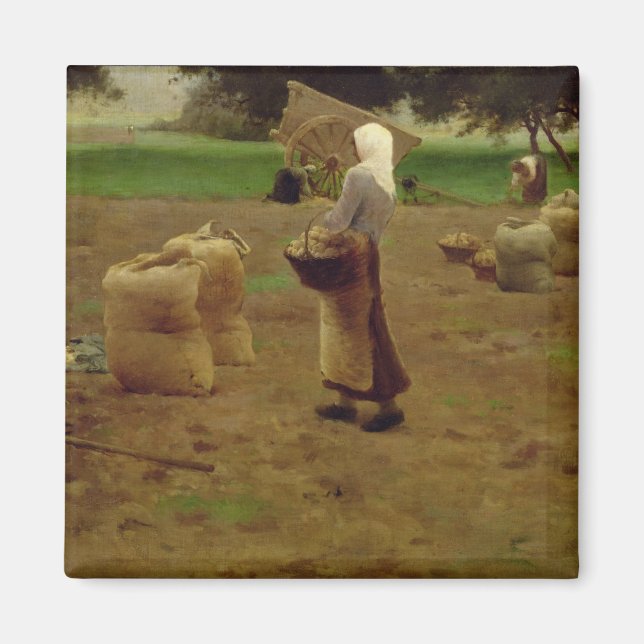 Harvesting Potatoes Magnet (Front)