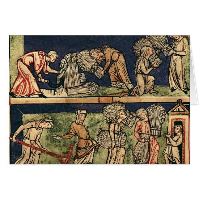 Harvesting, Rhine School (Front Horizontal)