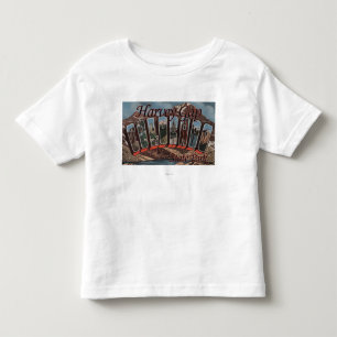 Harvey Gap State Park, Colorado Toddler T-shirt