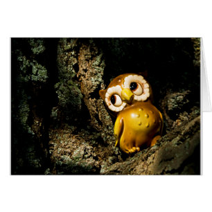 Harvey le hibou I