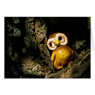 Harvey the Owl I