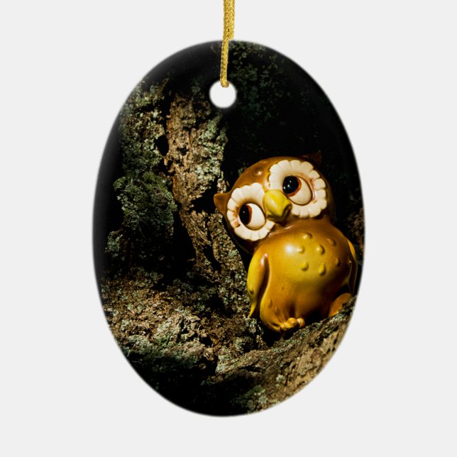 Harvey the Owl I Ceramic Ornament (Front)