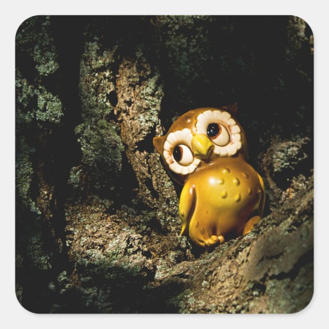 Harvey the Owl I Square Sticker (Front)