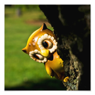 Harvey the Owl II Photo Print