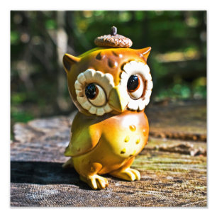 Harvey the Owl III Photo Print