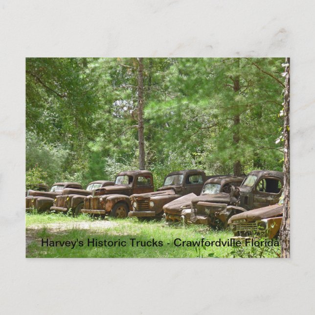 Harvey's Historic Truck Display - Crawfordville FL Postcard (Front)