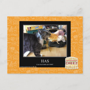 Has Postcard