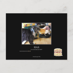 Has Postcard