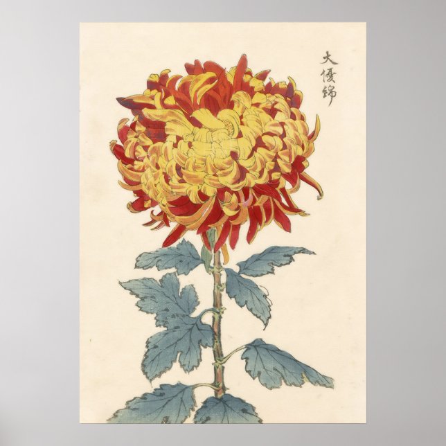 Hasegawa Chrysanthemum Wood Block Print # 121     (Front)