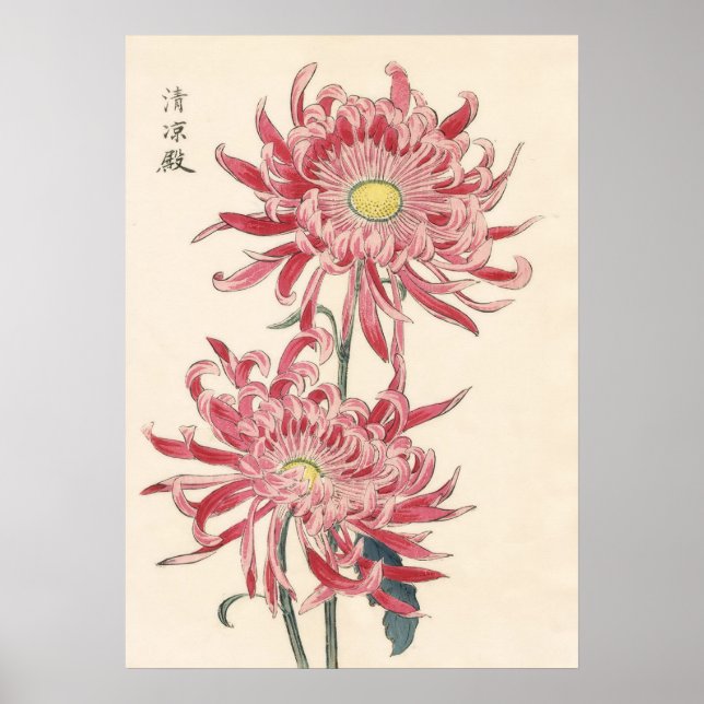 Hasegawa Chrysanthemum Wood Block Print #171  (Front)