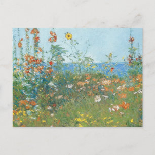 Hassam's "Poppies, l'île des Shoals" - Carte posta