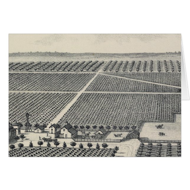 Hastie Vineyard, California (Front Horizontal)