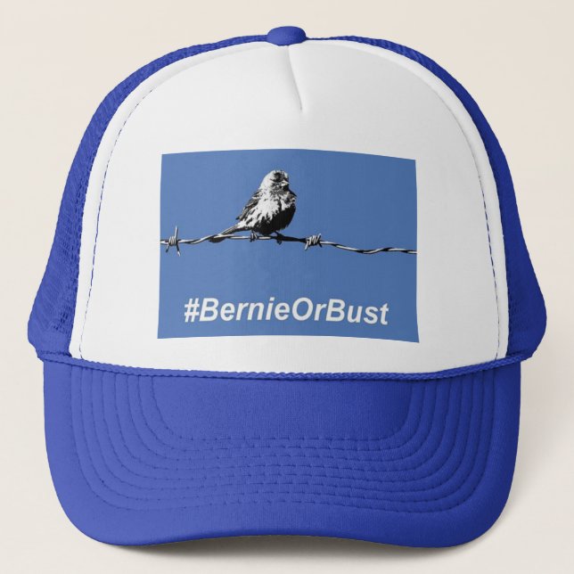 Hat Bernie Or Bust (Front)