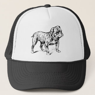 Hat Bulldog