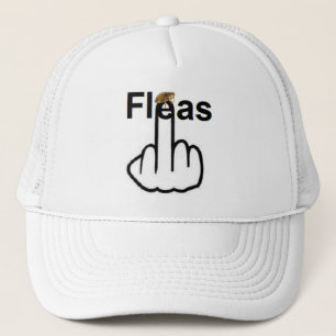 Hat Fleas Flip