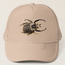 Hat with beetle picture