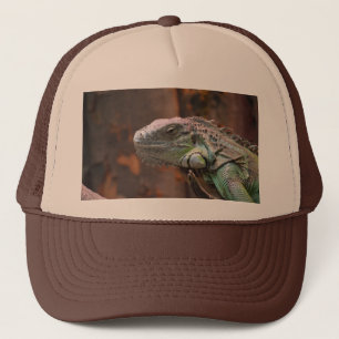 Hat with colourful Iguana lizard