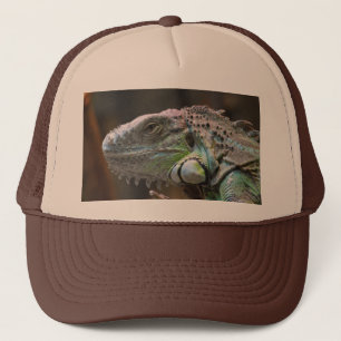 Hat with head of colorful Iguana lizard