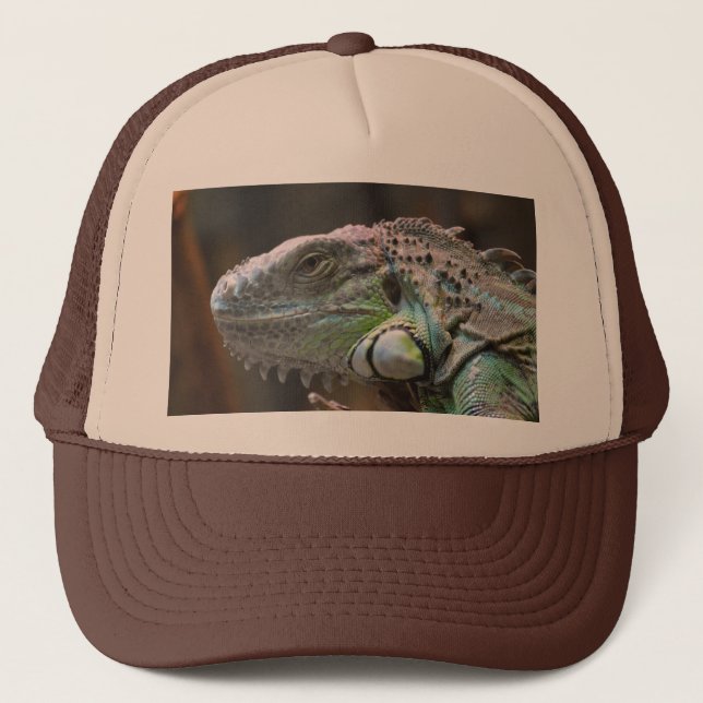 Hat with head of colorful Iguana lizard (Front)