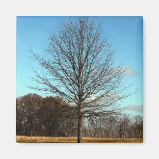 Hatchie Wildlife - Tree Magnet