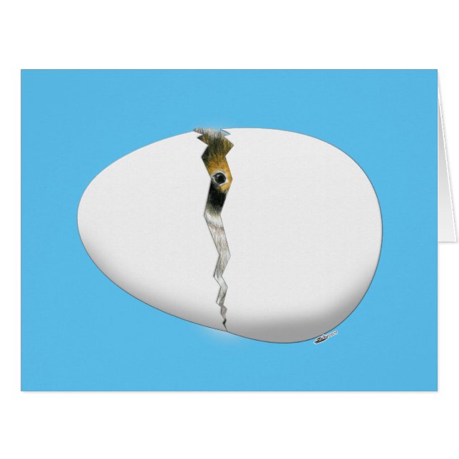 Hatching (Devant horizontal)