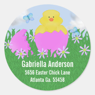 Hatching Baby Duck : Address Stickers