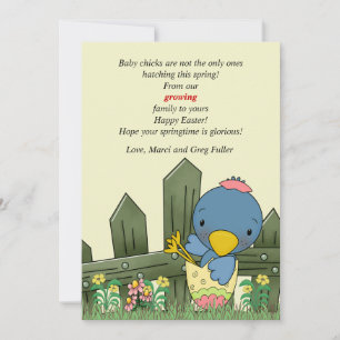 Hatchling Bird Pregnancy Announcement and Easter C