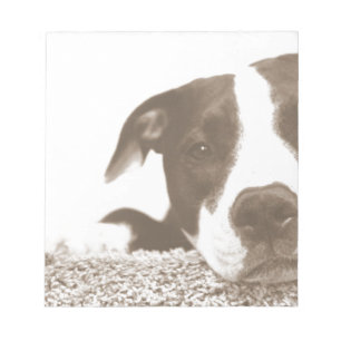 hate the deed not the breed friendly pitbull sepia notepad