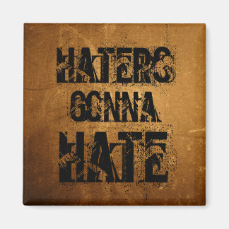 Haters Gonna Hate Magnet
