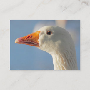 Haughty White Goose Business Card
