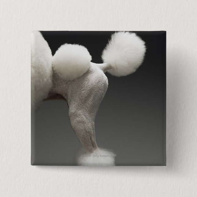 Haunches of Poodle, on grey background 2 Inch Square Button (Front)