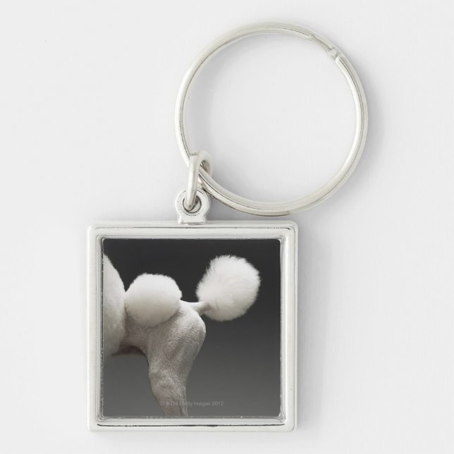 Haunches of Poodle, on grey background Keychain (Front)