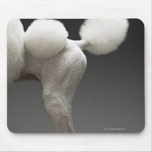 Haunches of Poodle, on grey background Mouse Pad