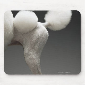 Haunches of Poodle, on grey background Mouse Pad