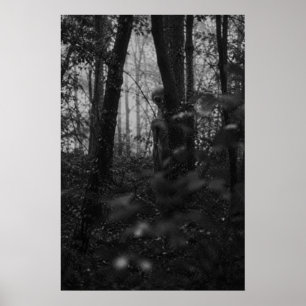 Haunted Forest – Mysterious Shadow in the Woods Poster