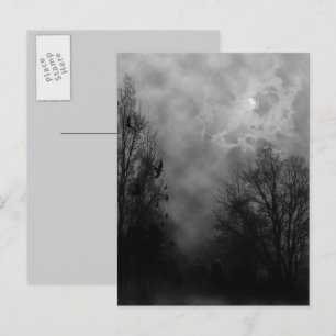 Haunted Halloween Sky with Ravens Postcard
