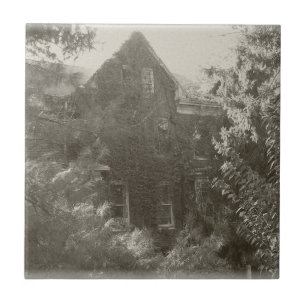 Haunted Mansion! Tile