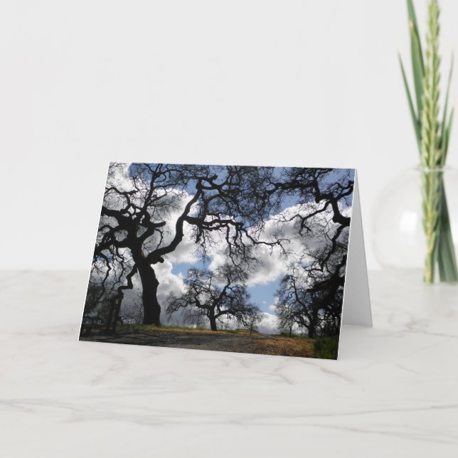 Haunted Trees Beautiful Natural Scenic Photo Card (Front)