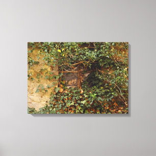 Haunted window    canvas print