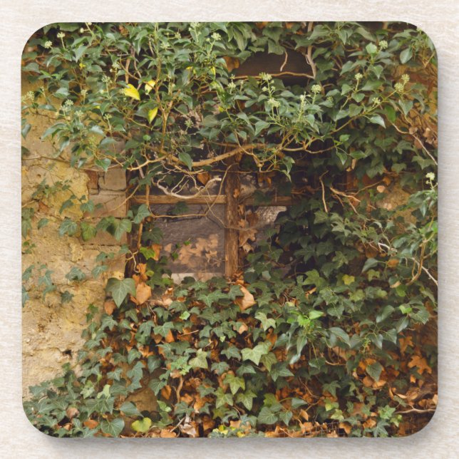 Haunted window  coaster (Front)