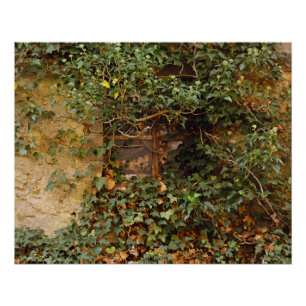 Haunted window poster