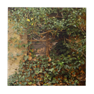 Haunted window   tile