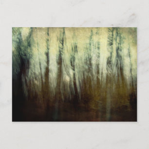 Haunted Woods Postcard