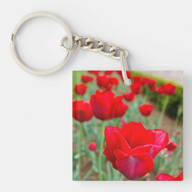 Haupt Bulbs, Close-up Keychain (Front)