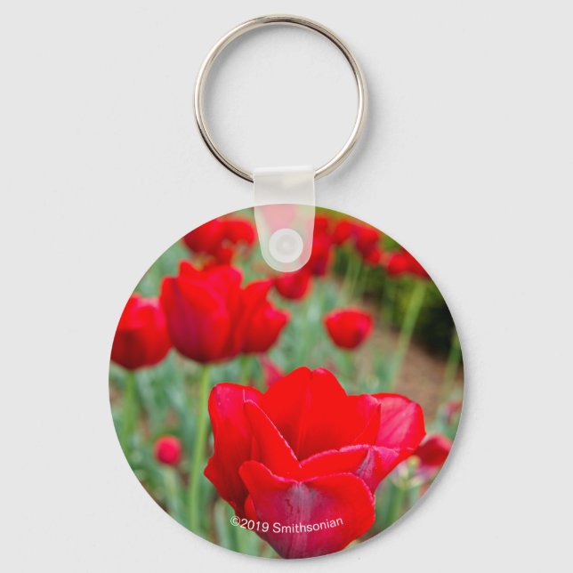 Haupt Bulbs, Close-up Keychain (Front)