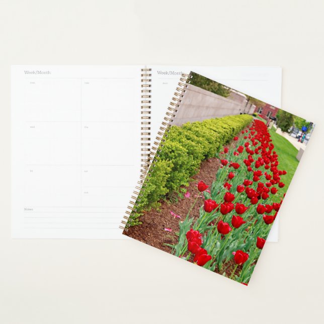 Haupt Bulbs Planner (Display)