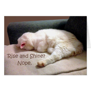 Hausse et éclat ? Nope.