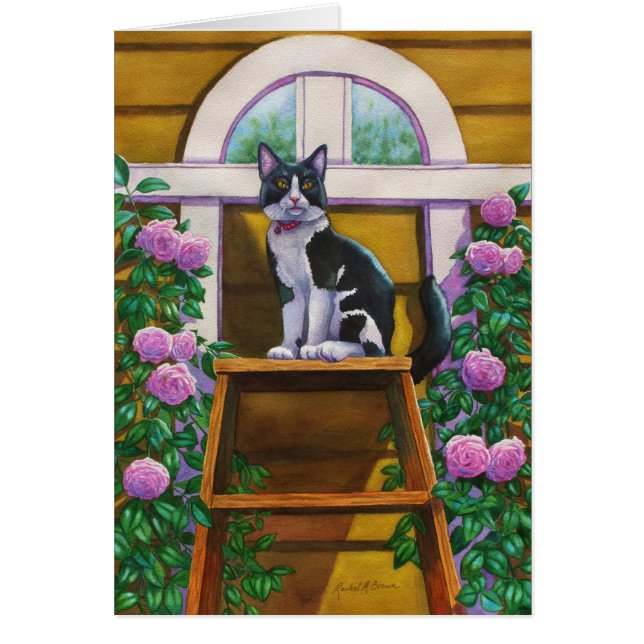 Haut de l'échelle Tuxedo Cat (Devant)
