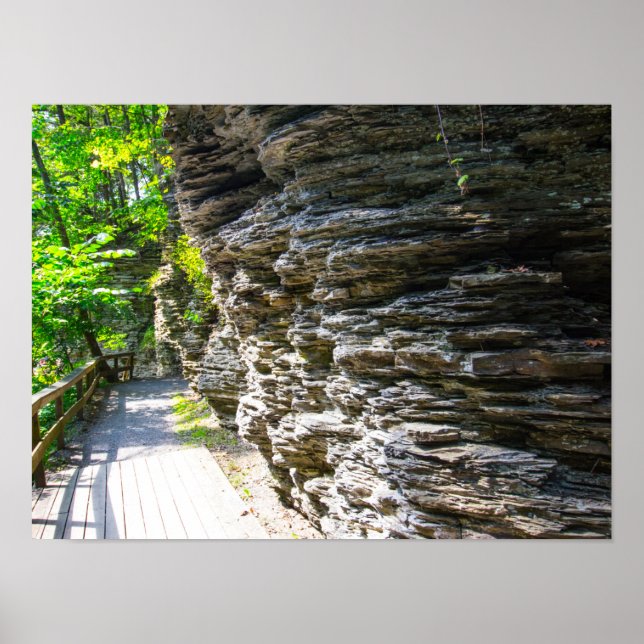 Havana Glen Park, Montour Falls, New York Poster (Front)