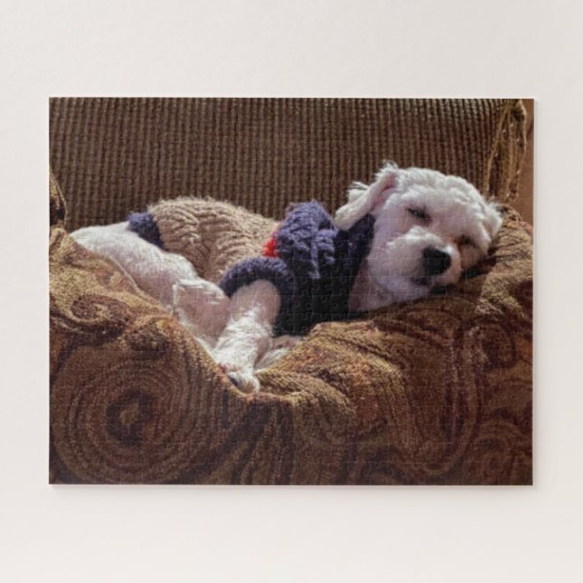 Havanais Puppy Napping - Puzzle (Horizontal)